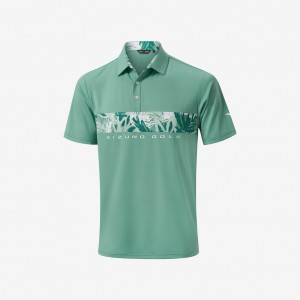 Mizuno MIZUNO CALI STRIPE POLO Grønn | NO_MZN66100